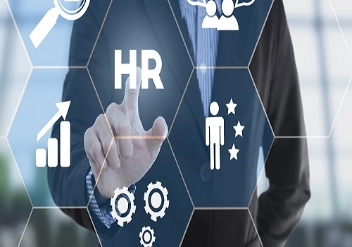 Job Consultancy
