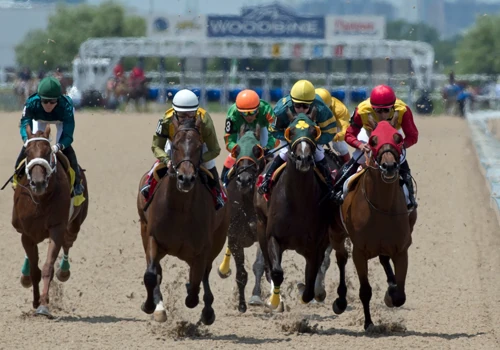 Woodbine HPIbet Wagering Software