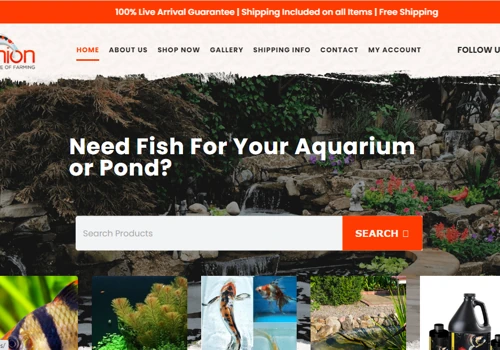Koi Kopmpanion (SEO)