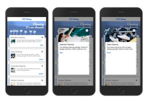 Cleaning Service App Development