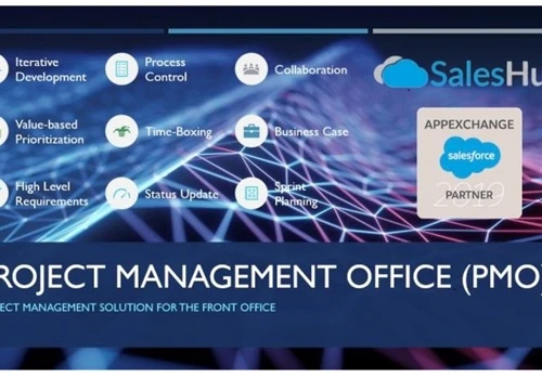 Salesforce Project Management Officer