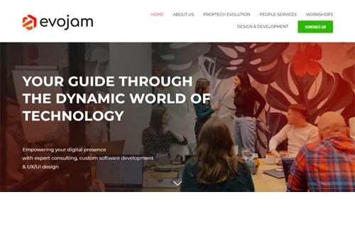 Website Development for Evojam