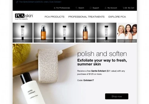 Launch a new, scalable market for PCA Skin's omni-channel B2B and B2C business on a new Magento Enterprise