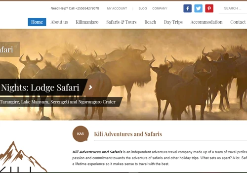 Web Design and Development