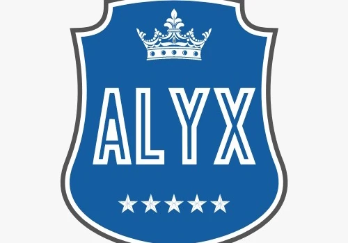 Alyx Custom Software
