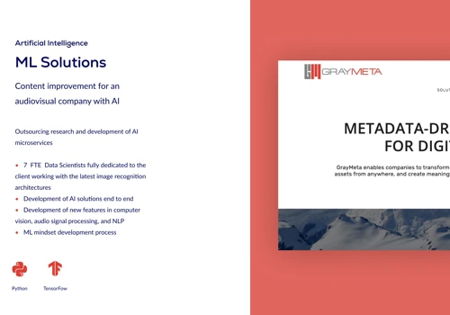 ML & AI Automated Metadata Solutions