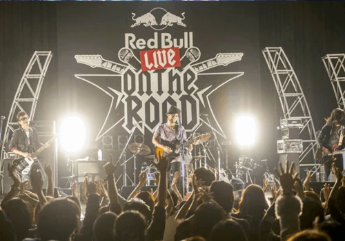 Red Bull gave us wings!