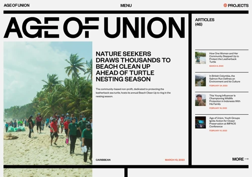 Age of Union Website