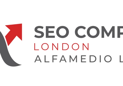 SEO company Case Study