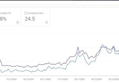 Blogging website SEO Stats