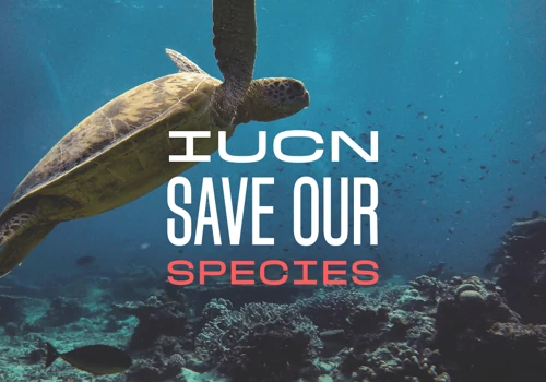 IUCN Save Our Species: biodiversity donation websi