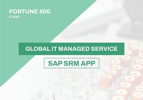 Seargin manages the global SAP SRM application