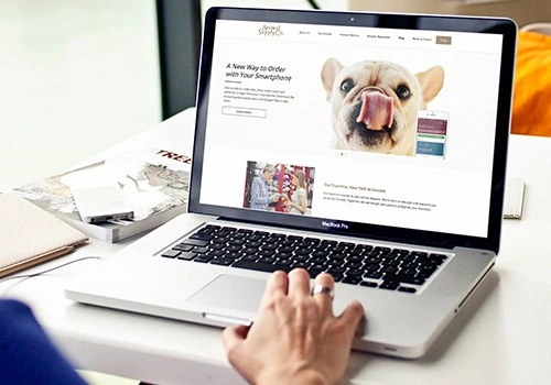 Innovating Pet Retail: ASC's Digital Journey