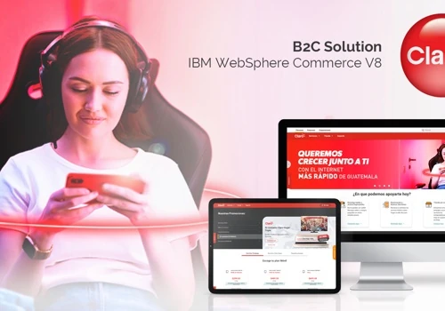 B2C Solution - IBM WebSphere Commerce V8