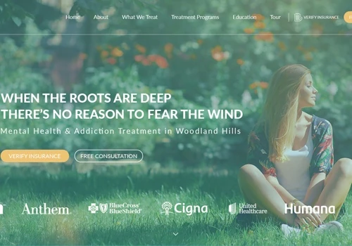 Web Redesign for Medical Treatment Center