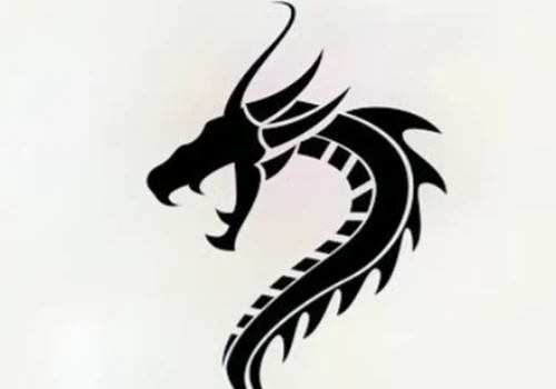 Dragon - Human Recognition