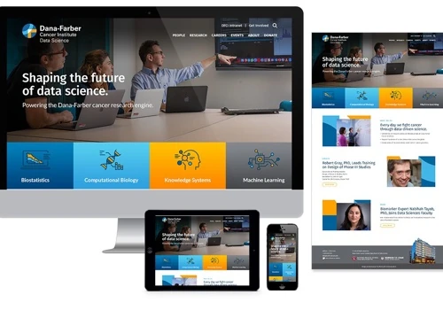 Dana Farber Data Sciences Website and visual Brand