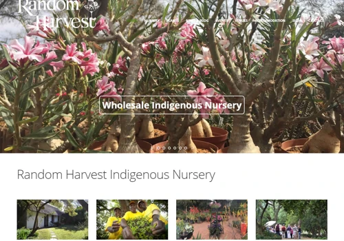 Random Harvest Nursery
