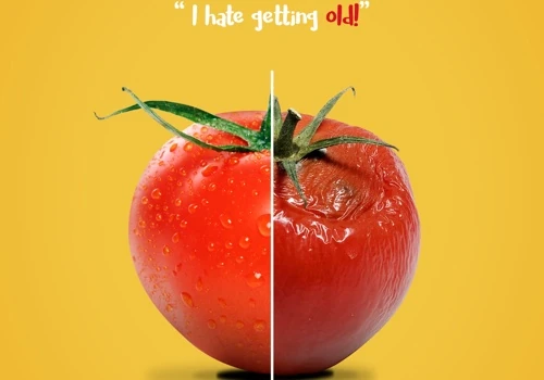 Campaign to avoid food wastage