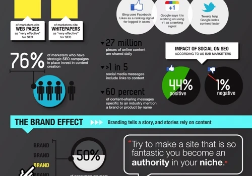 SEO Infographic