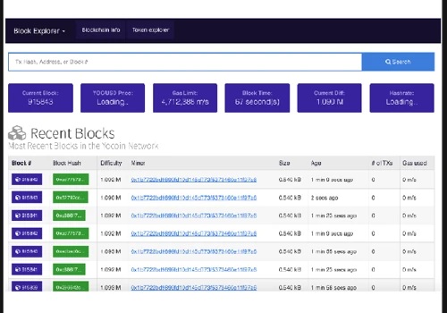 BLOCKCHAIN EXPLORER