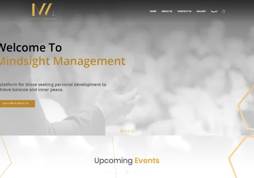 MindSight Management
