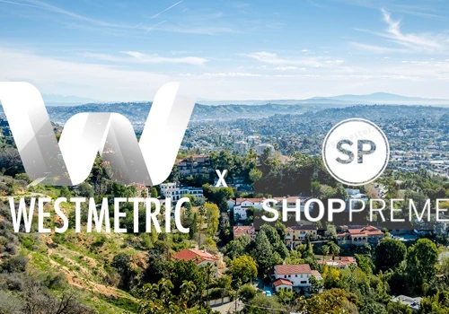 B2C E-Commerce Paid Media and CRO