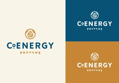 Branding + Website for Company