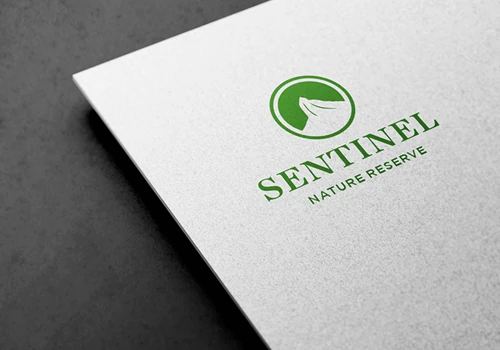Logo Design