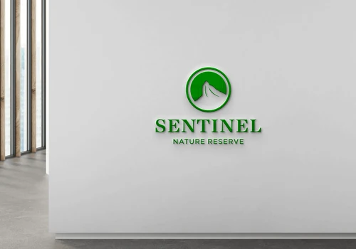 Logo Design and Branding