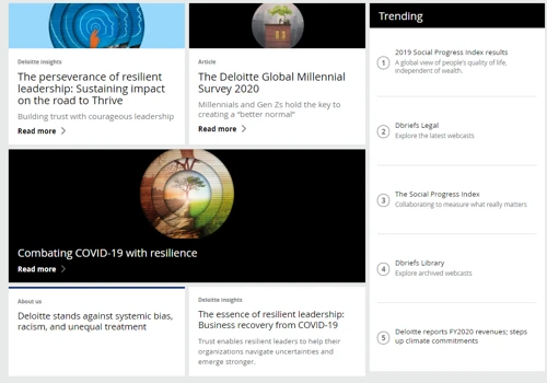 Deloitte – a leading global provider of audit, consulting, financial & risk advisory, tax, and related services