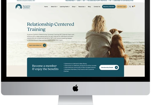 A Custom Ecommerce Development for a World Famous