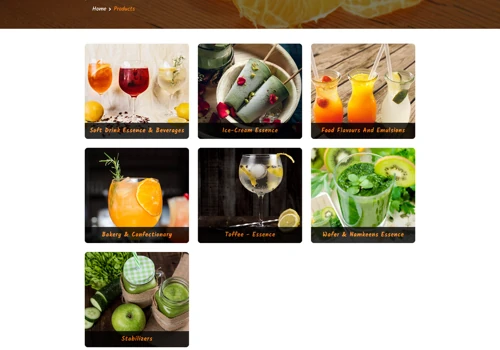 Bharat Essence - Web Design