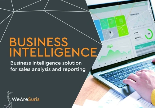 Business Intelligence tool for the sales dept.