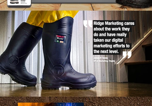 Tingley - Digital Marketing for eCommerce