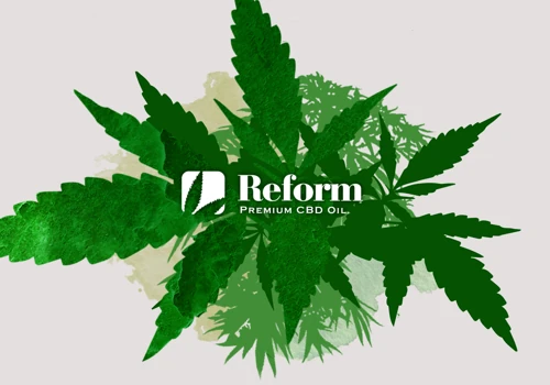 Visual Identity for Reform CBD Oil