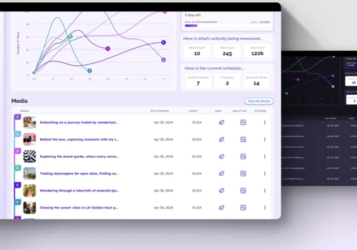 Palgorithm: Revolutionizing Audience Analytics