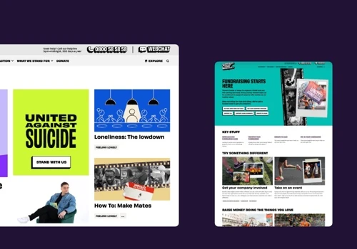 CALM Website Development