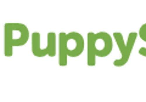 Content Marketing for Pet Service Brand