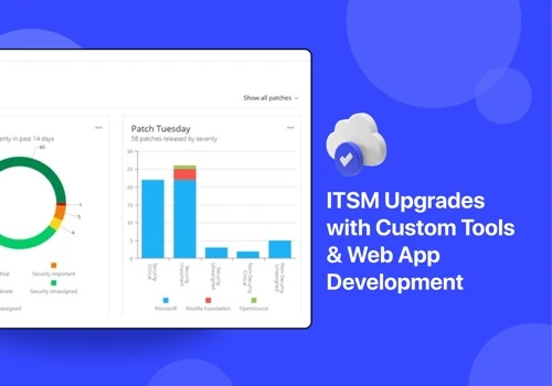 ITSM Solution Process Automation & Analyst Web App