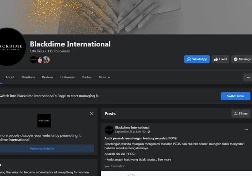 Social Media Management