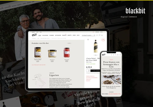 Antonio Viani Importe GmbH - Web development