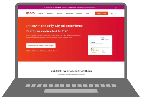 Ibexa - SEO, Google Ads, content creation