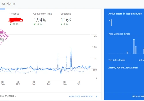 Web Design & E-commerce SEO