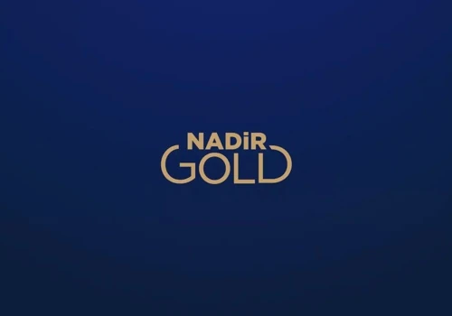 NadirGold 10x Turnover Increase in the Last Year