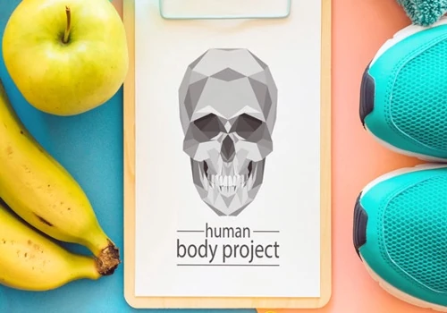 Human Body Project