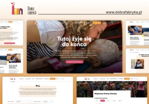 Dobra Fabryka—A Digital Makeover for Social Impact