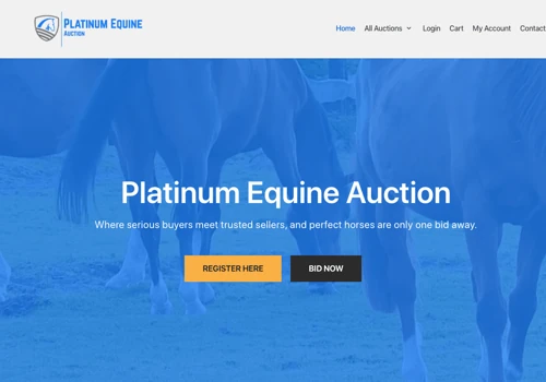 Platinum Equine Auction