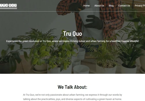Website Creation