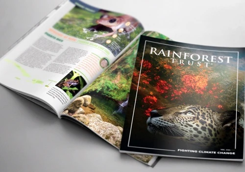 Rainforest Trust
